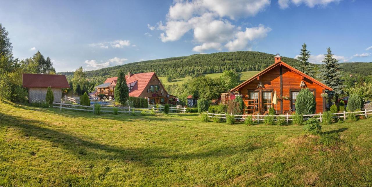 Apartamento Gleboki Jar Świeradów-Zdrój Exterior foto