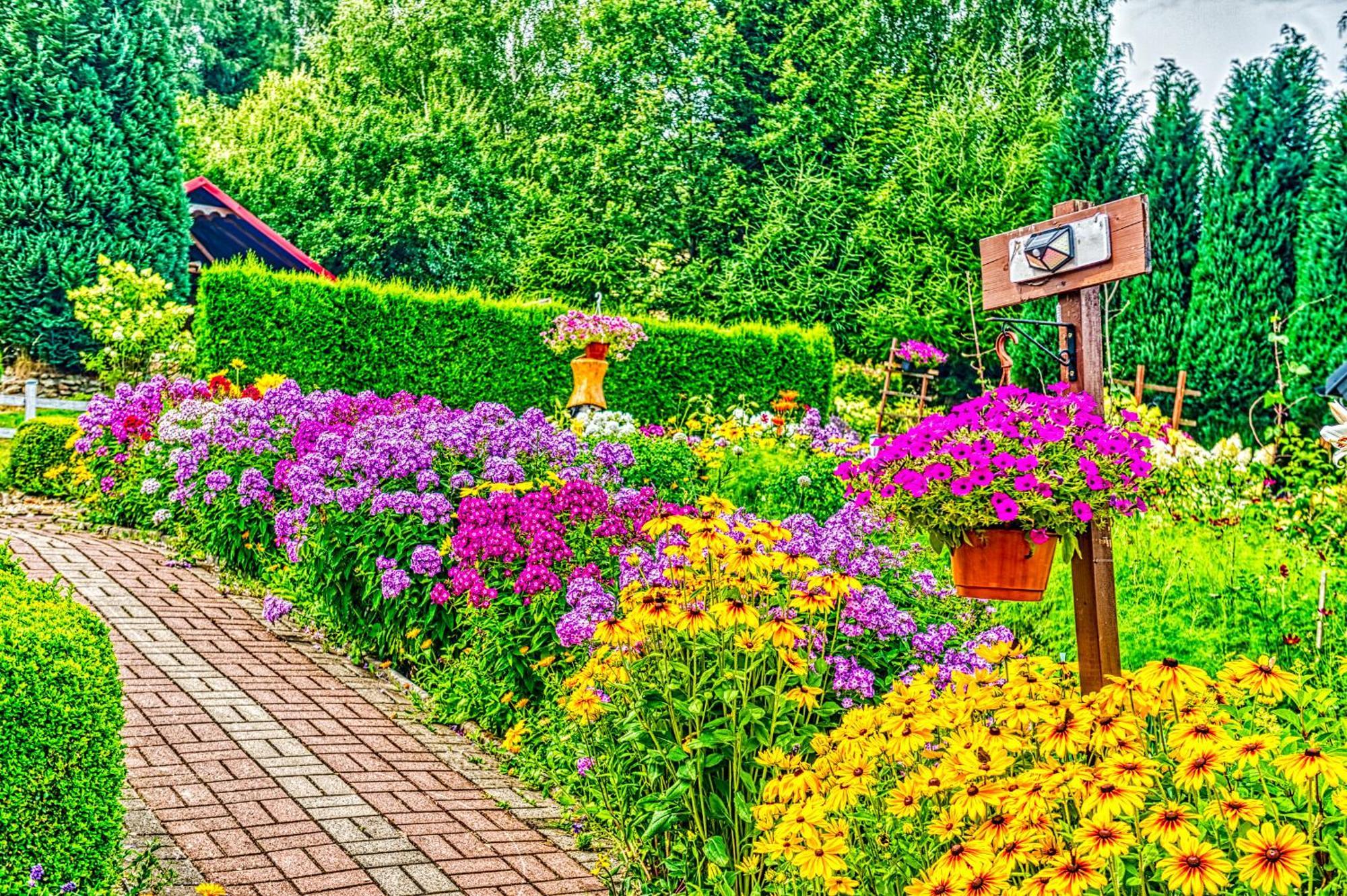 Apartamento Gleboki Jar Świeradów-Zdrój Exterior foto