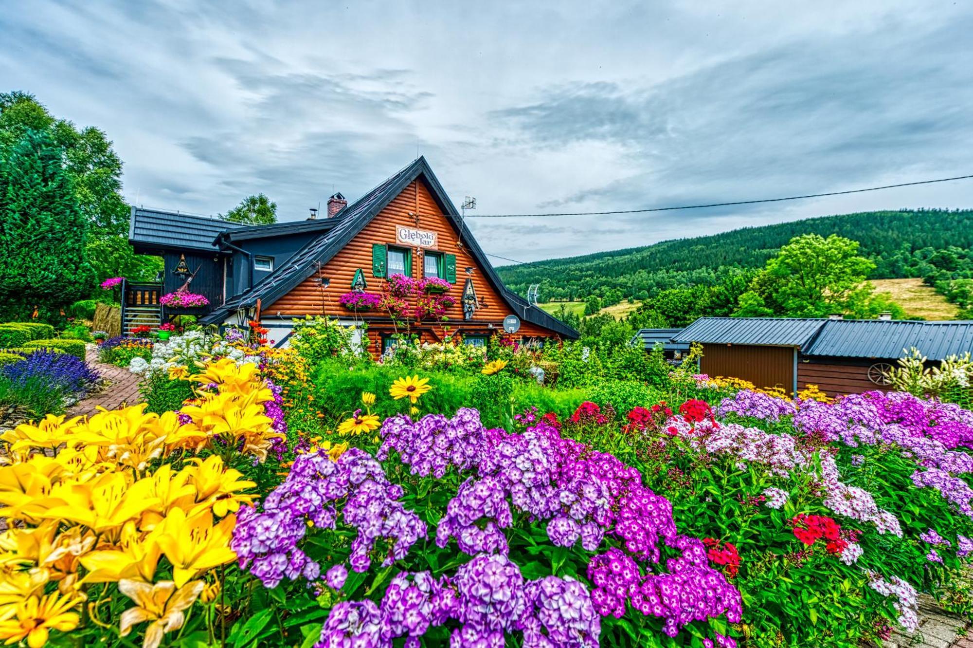 Apartamento Gleboki Jar Świeradów-Zdrój Exterior foto