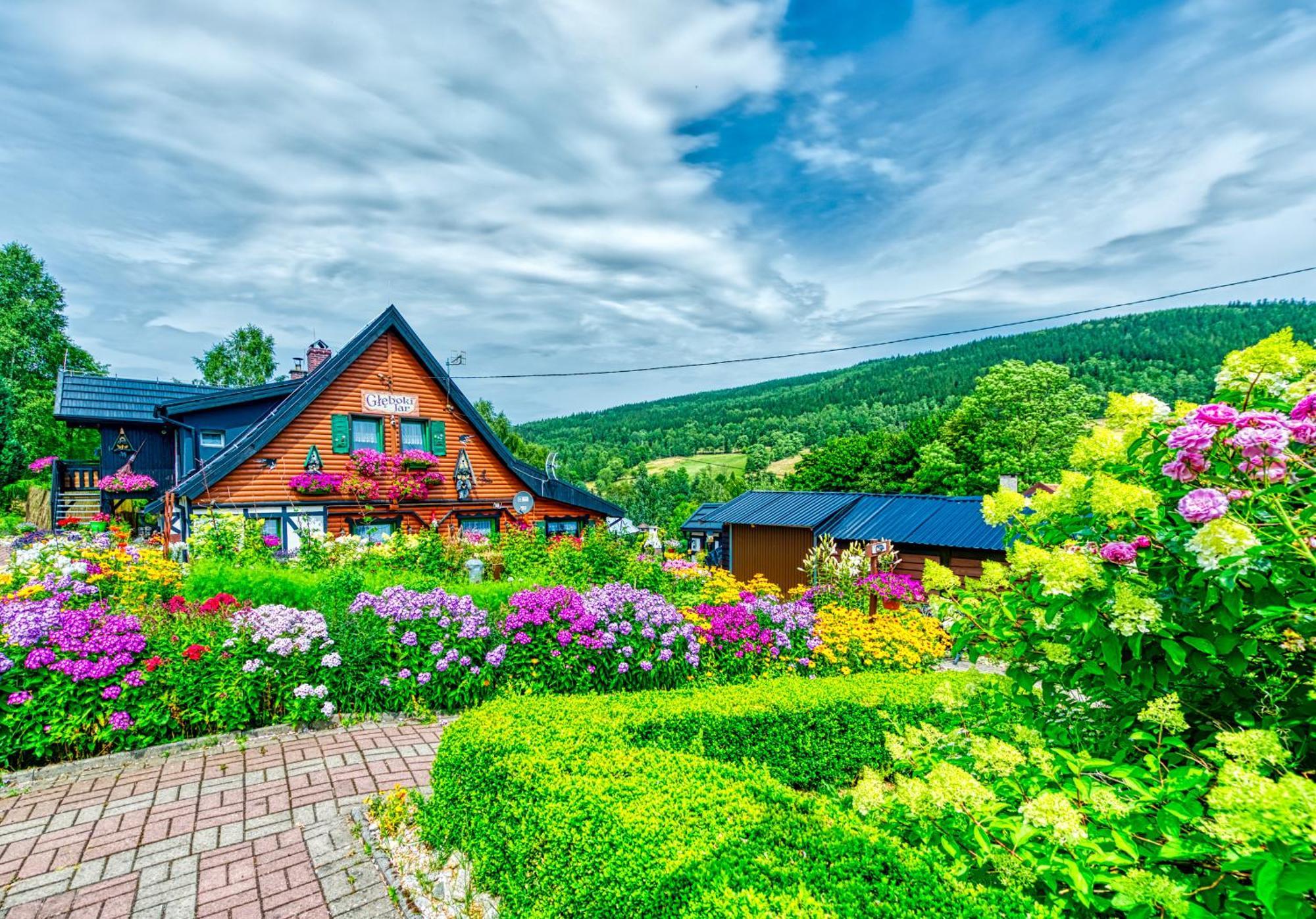 Apartamento Gleboki Jar Świeradów-Zdrój Exterior foto