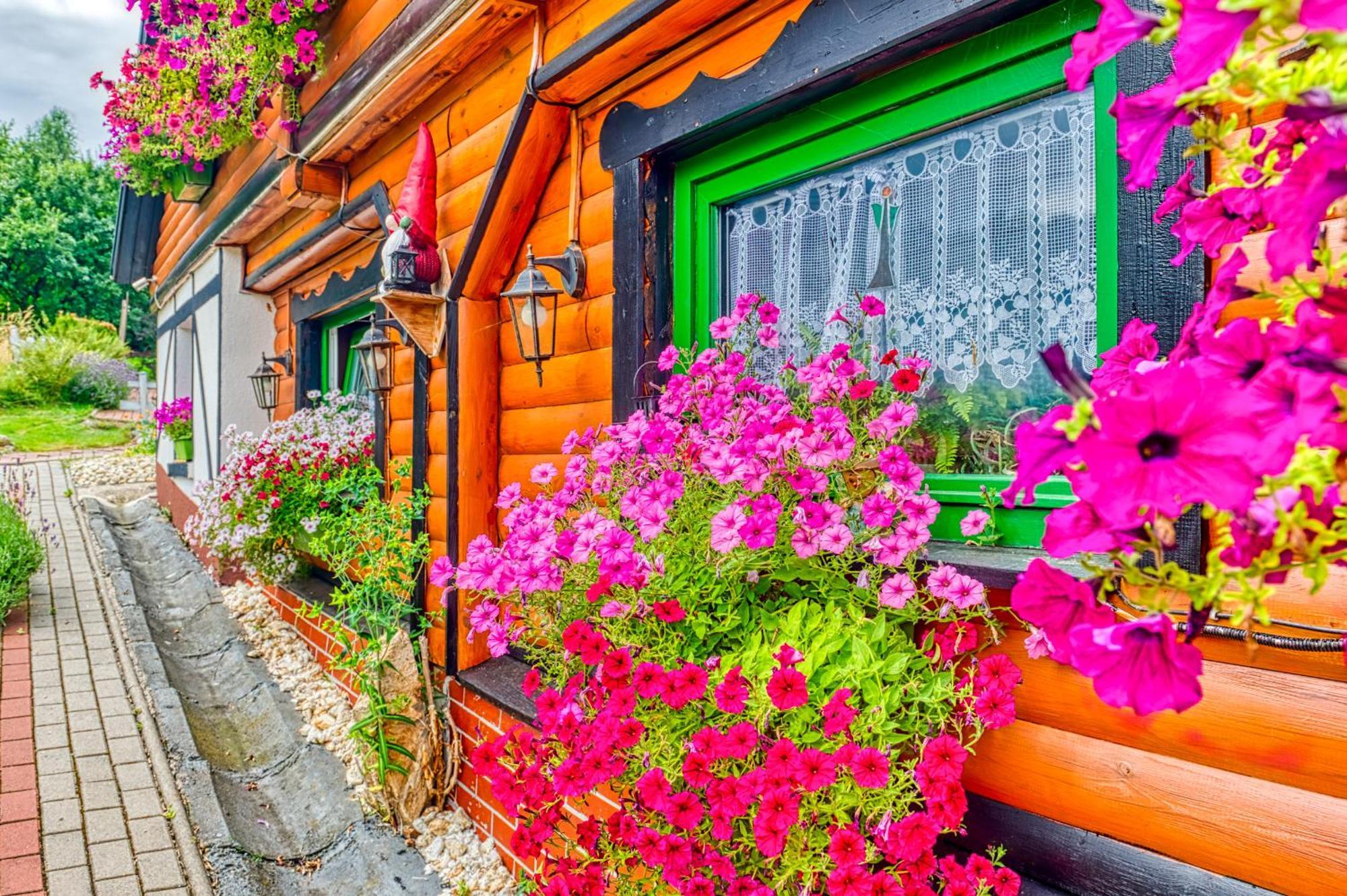 Apartamento Gleboki Jar Świeradów-Zdrój Exterior foto
