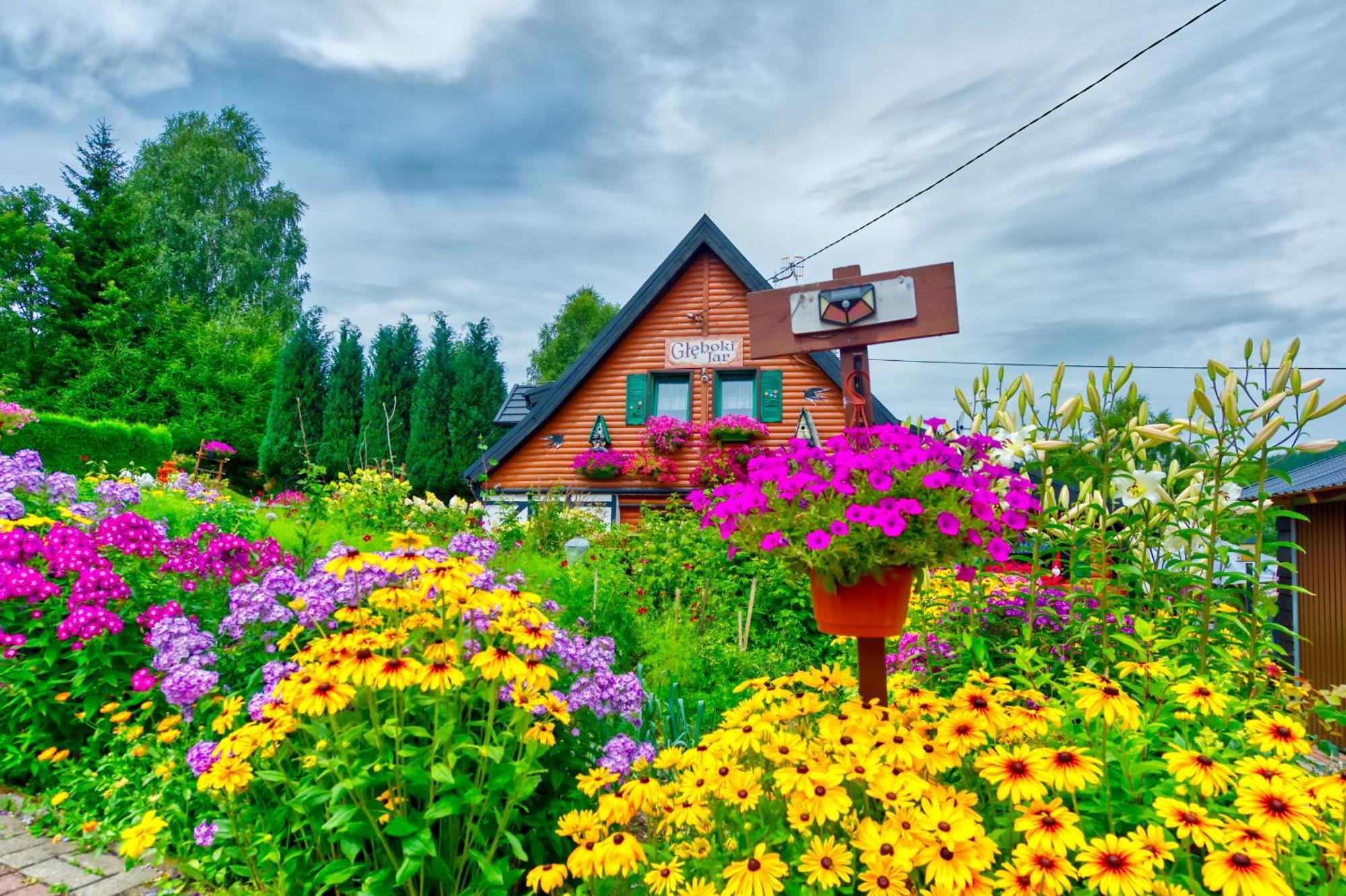 Apartamento Gleboki Jar Świeradów-Zdrój Exterior foto